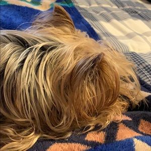 Meet your Posher, Bertha